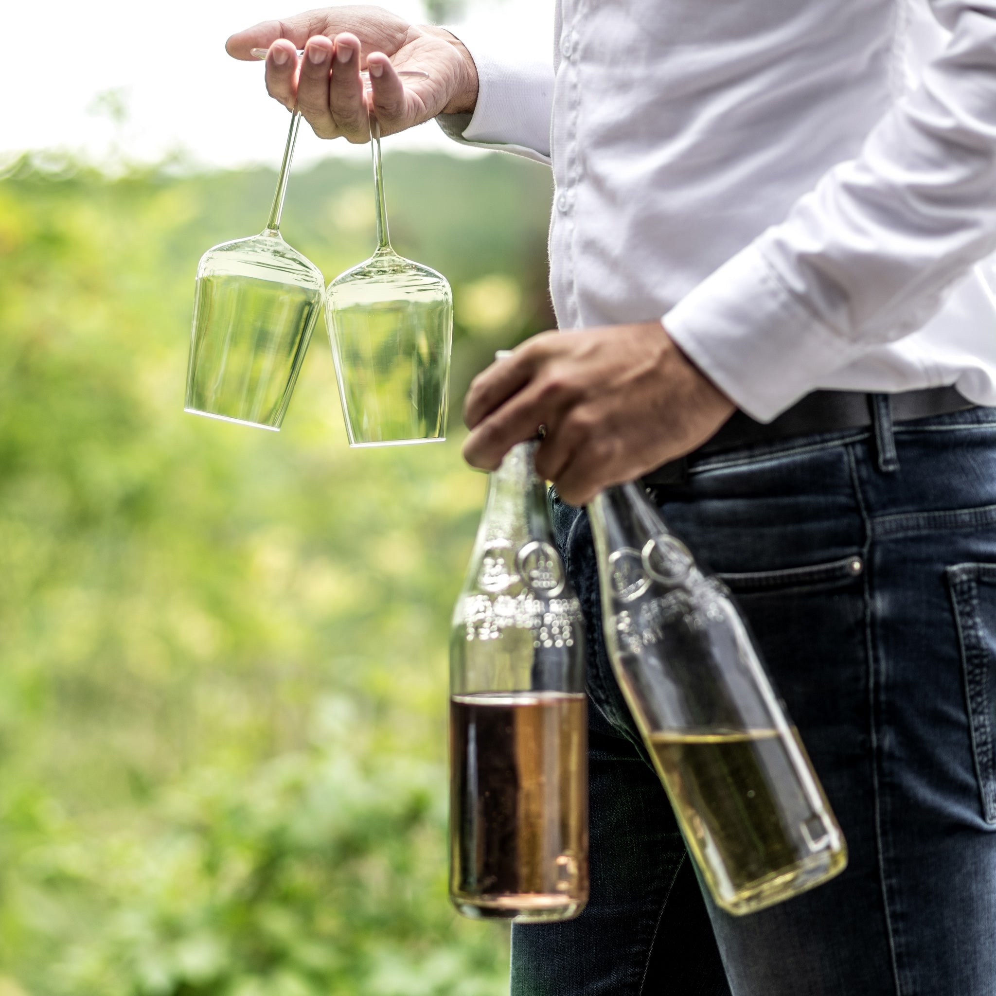 ヴェルヴィーノ / シャルドネ ”発泡ポイント付” 487ml(1個 / 2個セット)