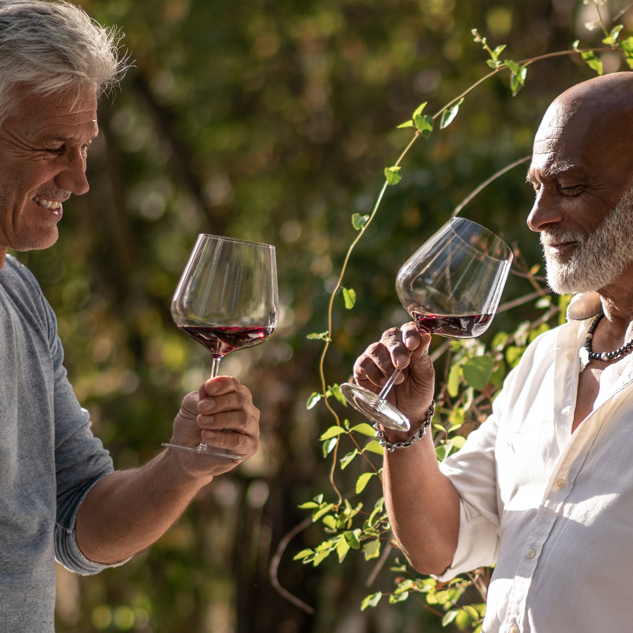 ヴェルヴィーノ / ブルゴーニュ 955ml(1個 / 2個セット)