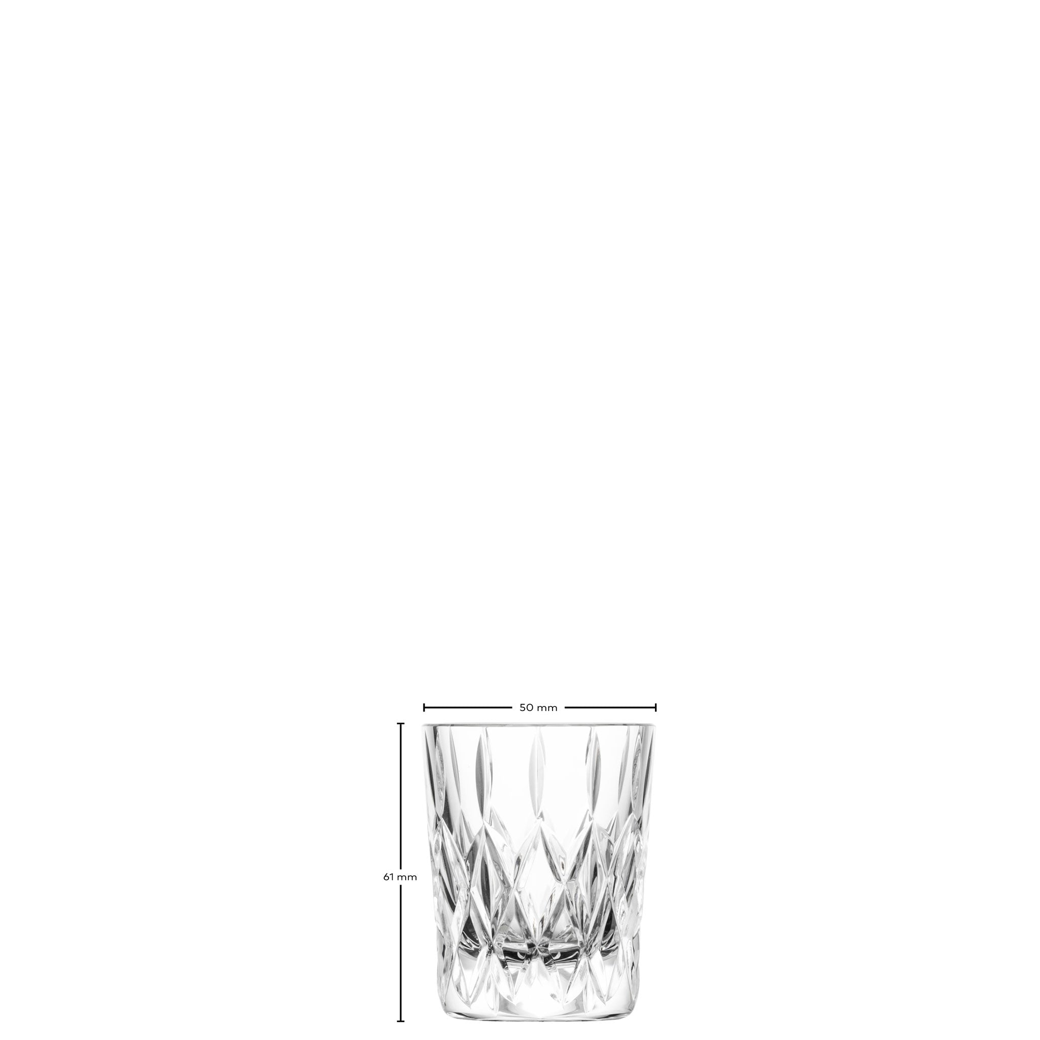 エージ / ショット 60ml（2個 / 4個セット）