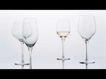 ルーレット / 白ワイン "発泡ポイント付"  360ml（2個セット）